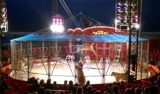 Zirkus Probst in Magdeburg