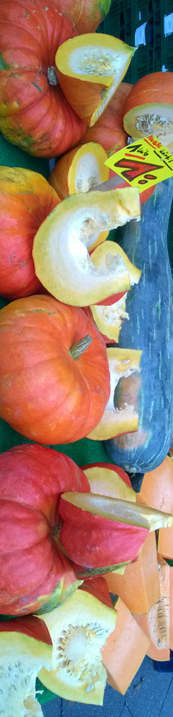 Kürbis am Maybachufer