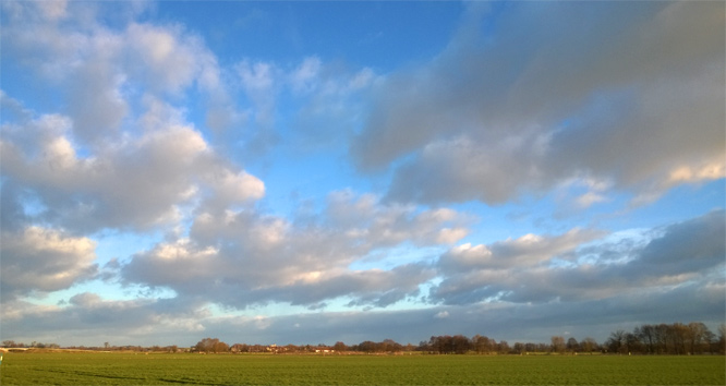 Weites Land mit Schloss Leitzkau