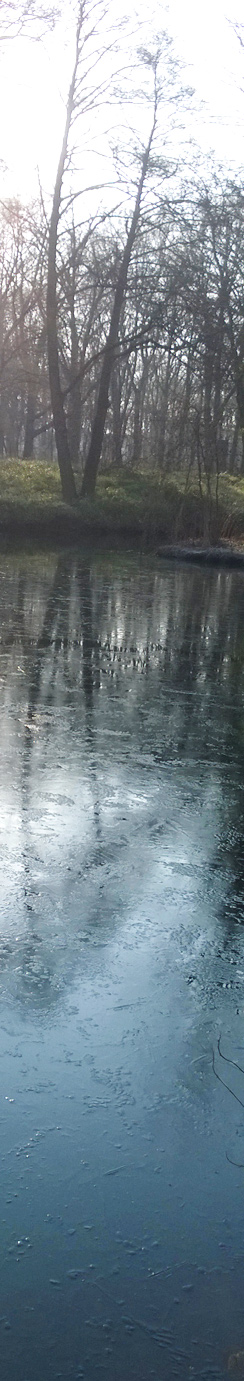 Dünnes Eis im Tiergarten