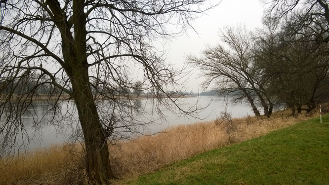 Elbe bei Dornburg