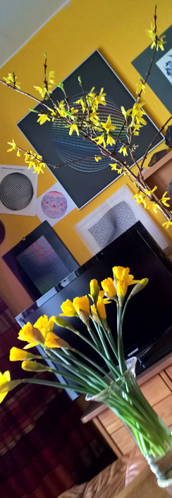 Der Frühling kommt ...!