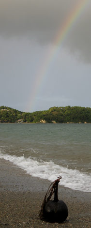 Regenbogen und Kokosnuss