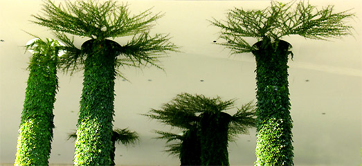 Am Starke Natur, Kanzleramt Berlin