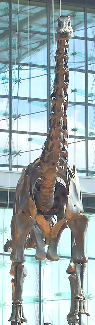 Dinosaurus im Hauptbahnhof