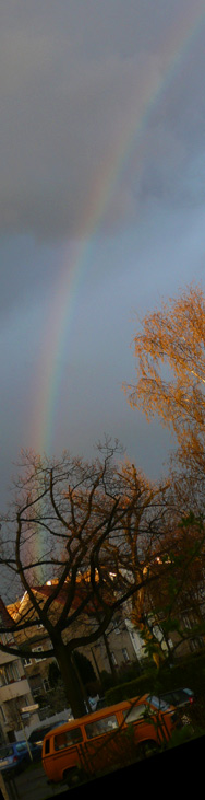Regenbogen