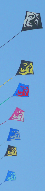 Drachen am Reichstag