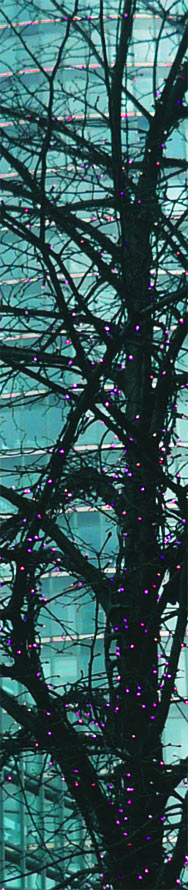 Illumination zu den Filmfestspielen