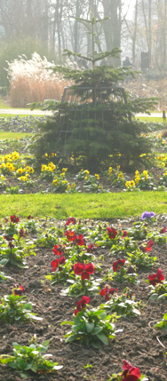Frühling im Tiergarten