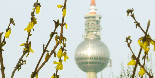 Frühling Ende Februar 2008