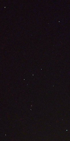 Orion