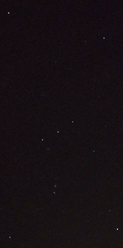 Orion