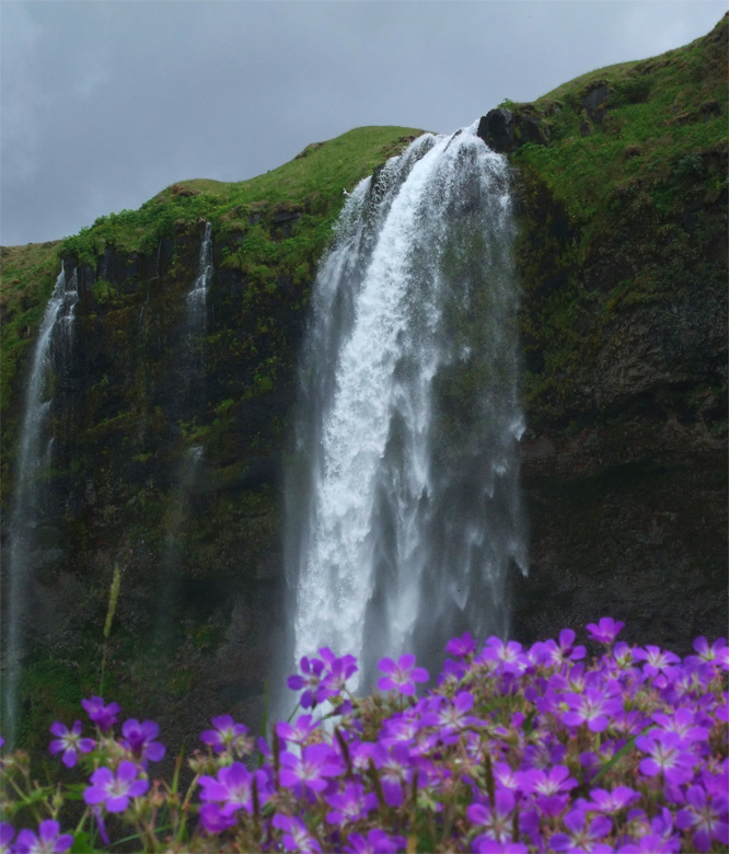 Iceland 2008