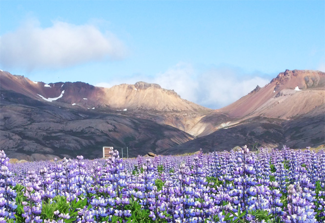 Iceland 2008