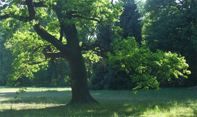 Im Neuen Garten, Potsdam