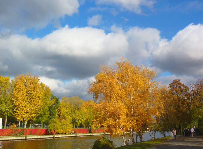 Herbst an der Spree