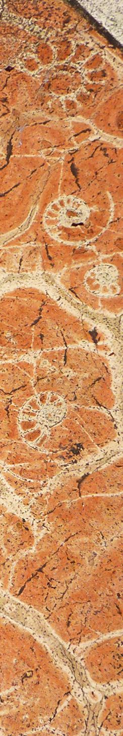 Gehwegplatten in Lucca