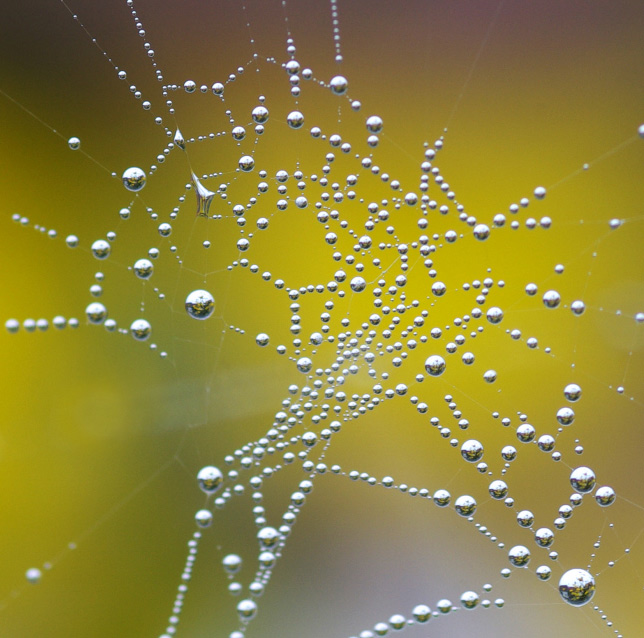 Fotowettbewerb DagmarB