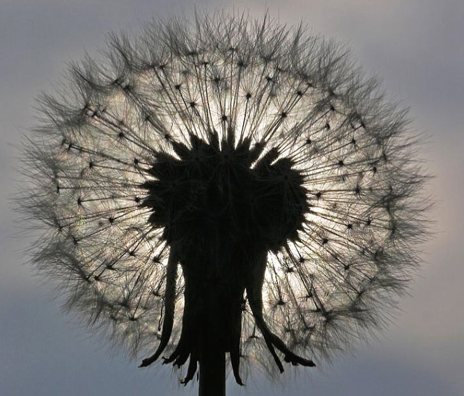 Fotowettbewerb schmeti