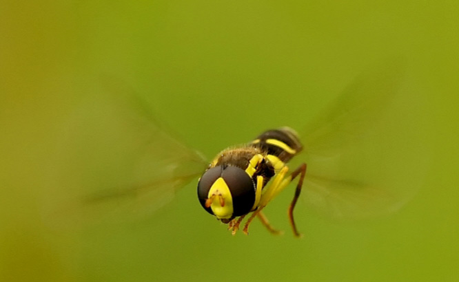 Fotowettbewerb Tinuz1