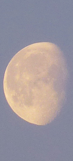 Moon 03.02.2010, 7:54, Berlin