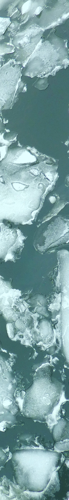 Winter in Berlin - 21. Januar 2010