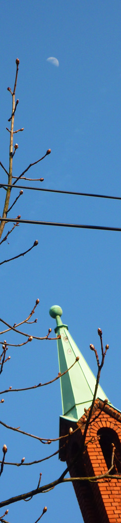 Mond Knospen Rixdorf Kirche