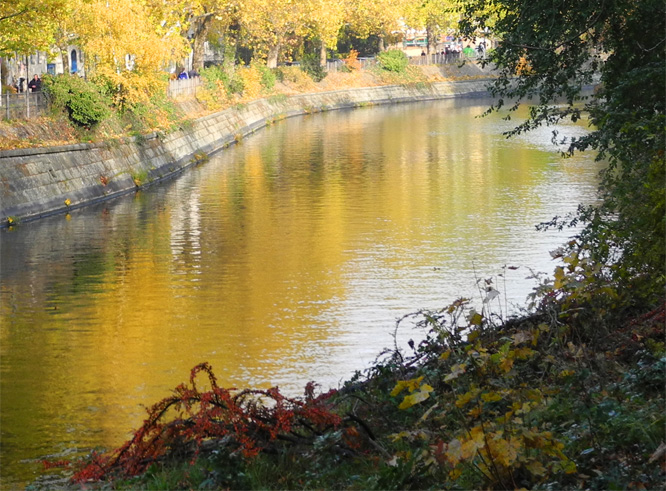 Herbstsonne - 31. Oktober 2010